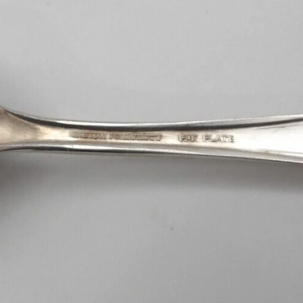 Oneida Bridal Wreath Silverplate Round 6